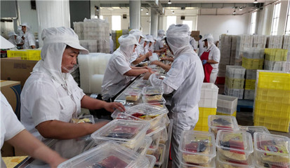 漯河 做強主食產業，構建完善食品產業生態與互聯網銷售新格局