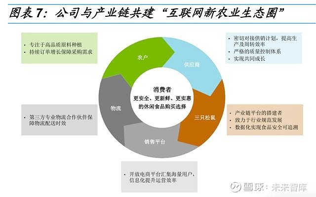 三只松鼠深度研究 進擊的休閑食品領軍企業——互聯網銷售與多品類雙輪驅動成長路徑